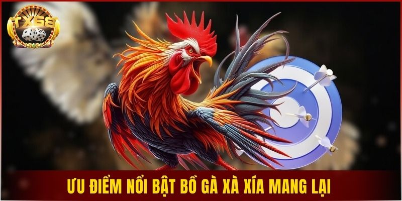 Ưu điểm nổi bật bồ gà Xà Xía mang lại 