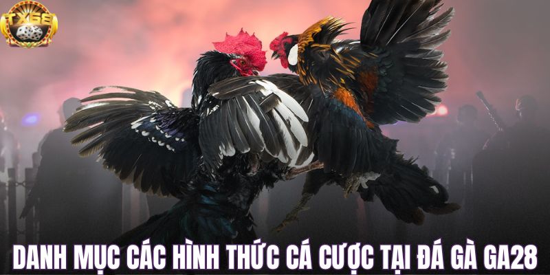 Danh mục các hình thức cá cược tại đá gà GA28