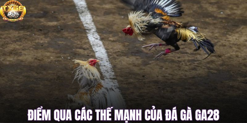 Điểm qua các thế mạnh của đá gà GA28